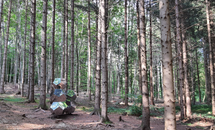 ein paar verspiegelte aufeinander gestapelte Dodekaeder als Kunstwerk mitten in einem Wald