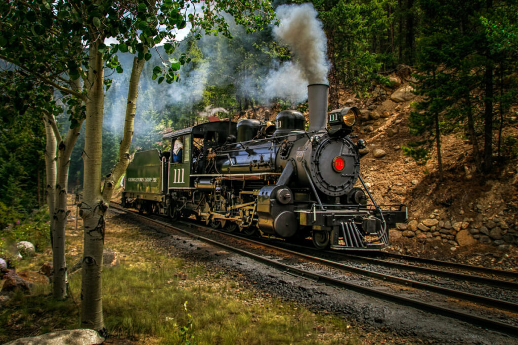 dunkelgrüne Dampflokomotive mit Kohlewagen fährt durch Waldstück