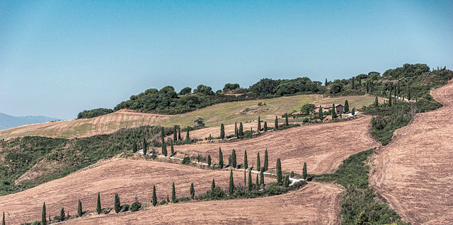 geschwungener Weg mit Zypressen in toskanischer Hügellandschaft